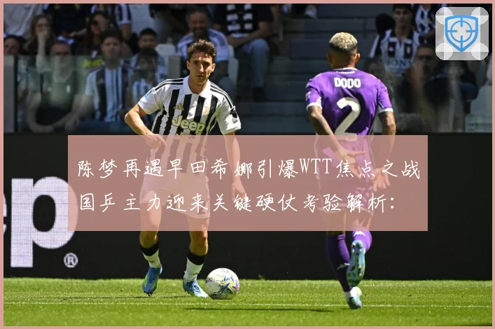 陈梦再遇早田希娜引爆WTT焦点之战国乒主力迎来关键硬仗考验解析：最新赛事动态与深度分析